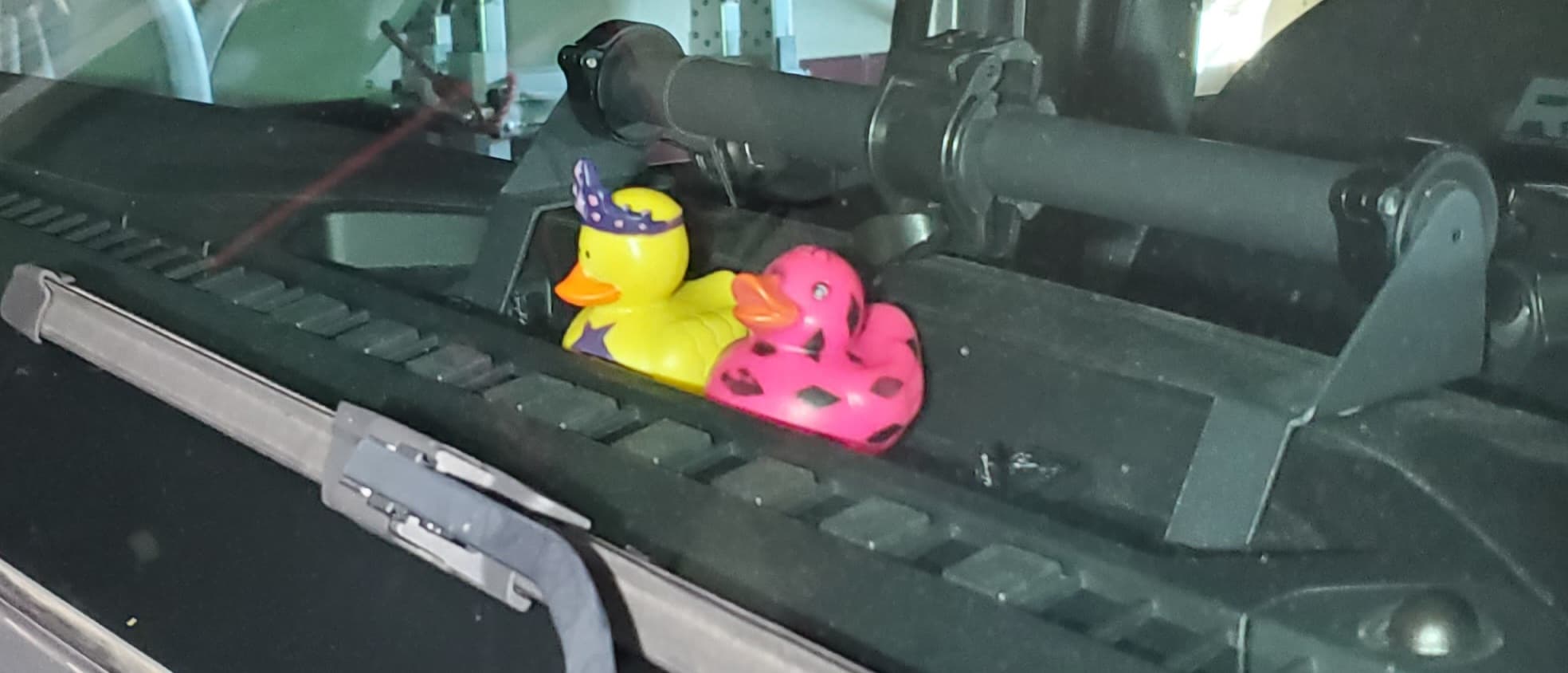 Dash Duck Holder